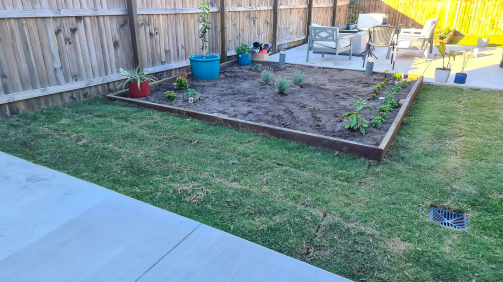 received_250362303280681-gigapixel