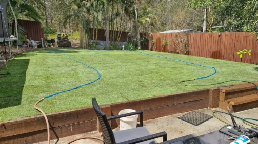 received_236163104677995-gigapixel